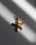 Gold Starfish Charm.