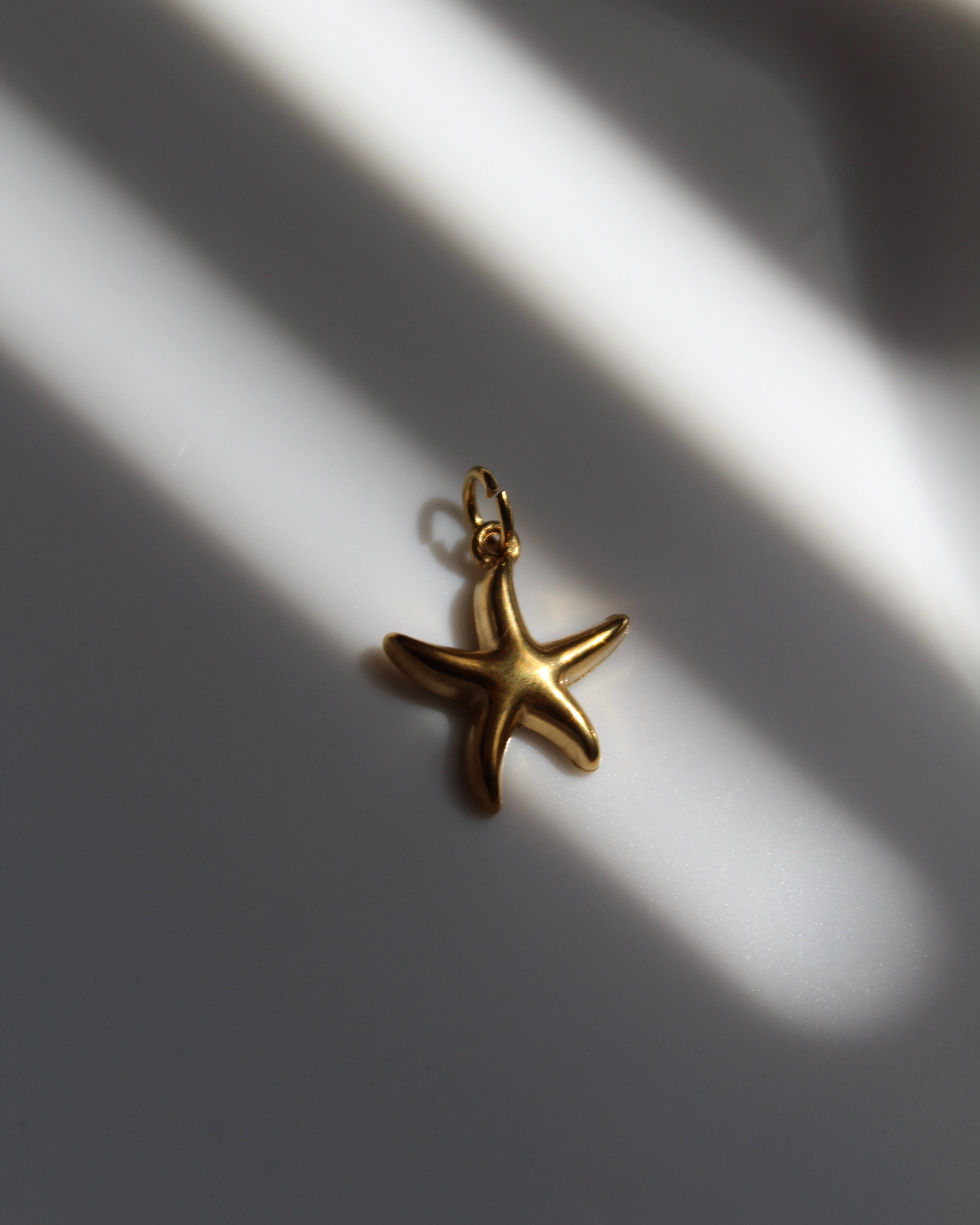 Gold Starfish Charm.