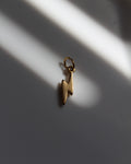 Gold Lightning Bolt Charm.